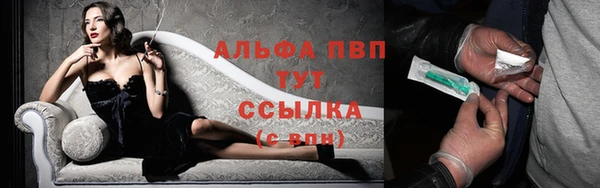 прущие грибы Бежецк