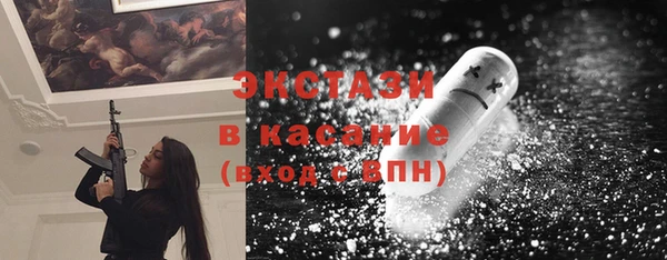 индика Горнозаводск